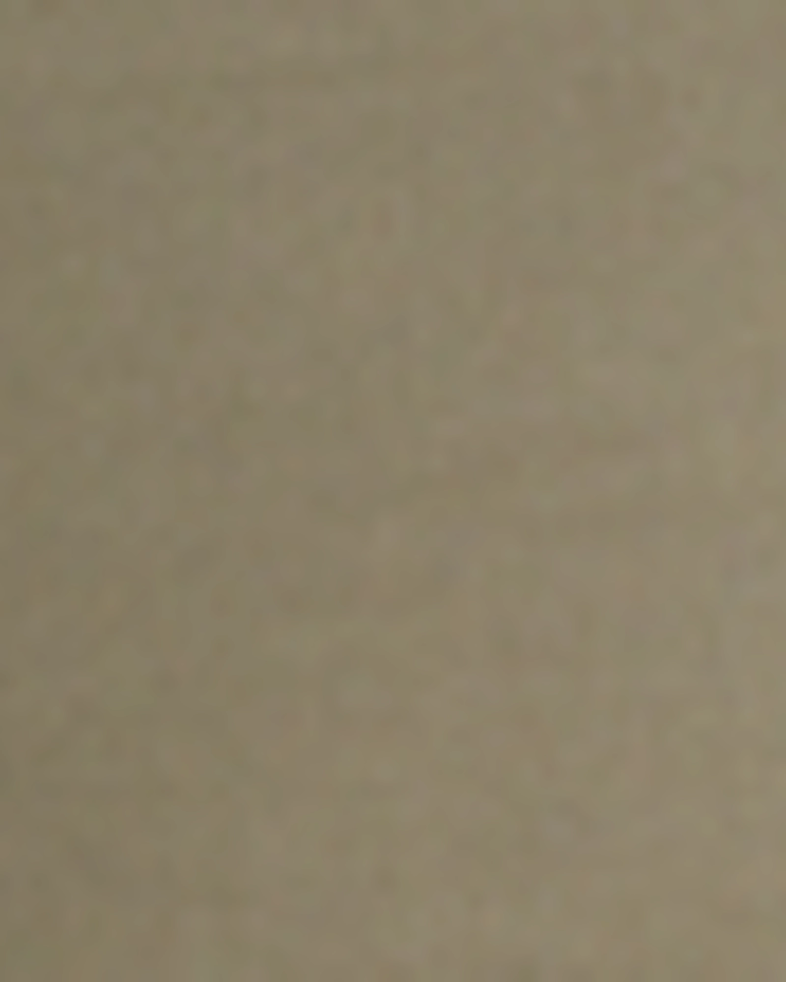 Versatile Tailoring standard fit Amber Skinny Cargo Jeans | Olive Green