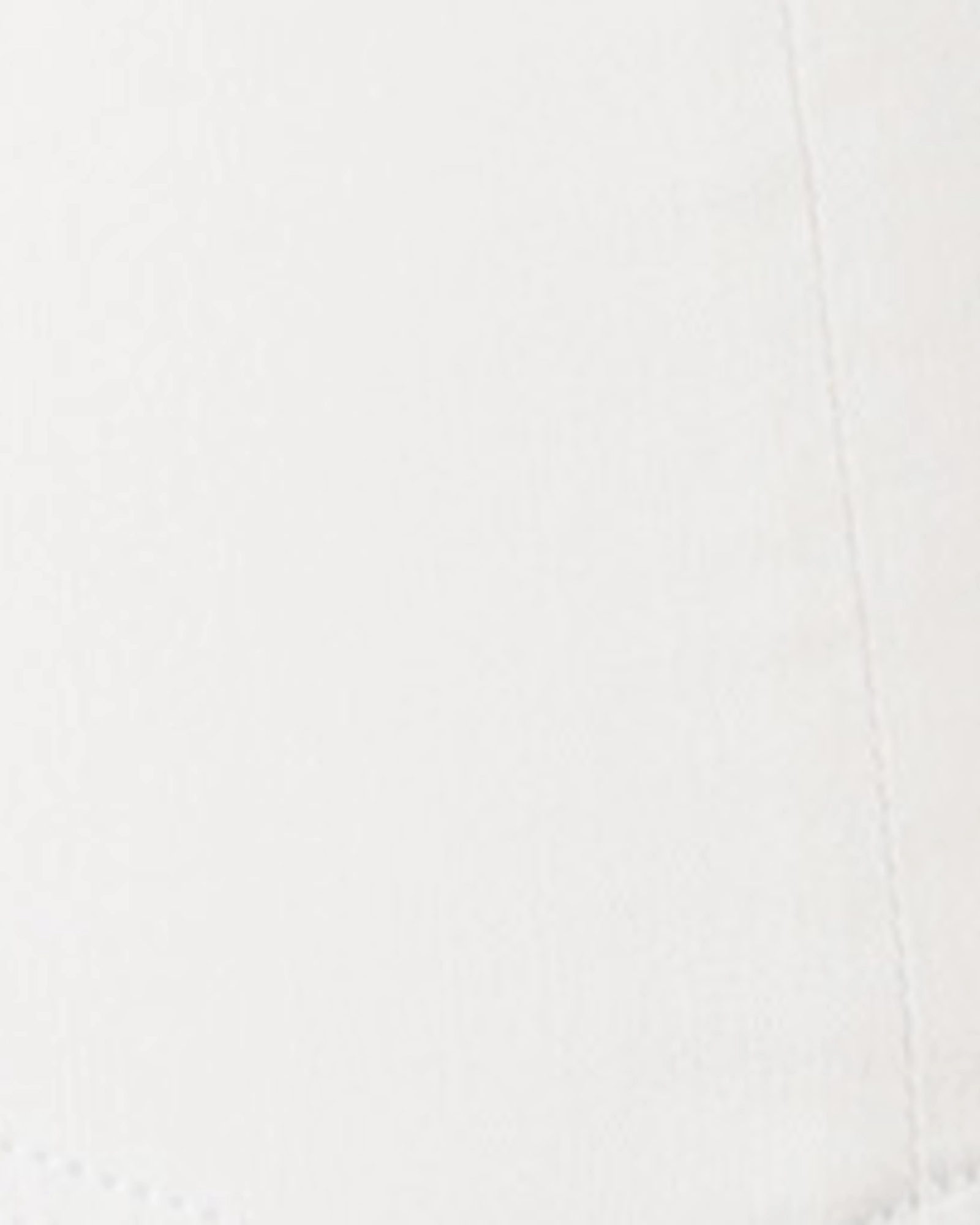 Classic Five Pocket Baylee Side Vent Shorts | WHITE