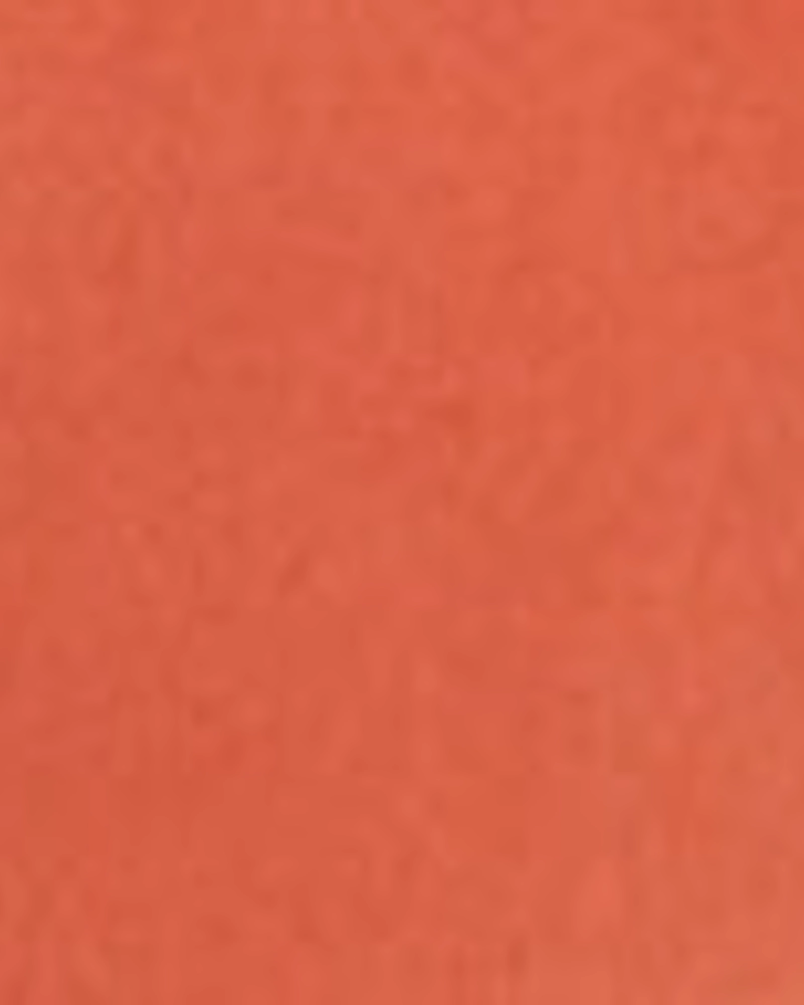 All Around Multi Pocket Utility Carla High rise Boyfriend | RUST