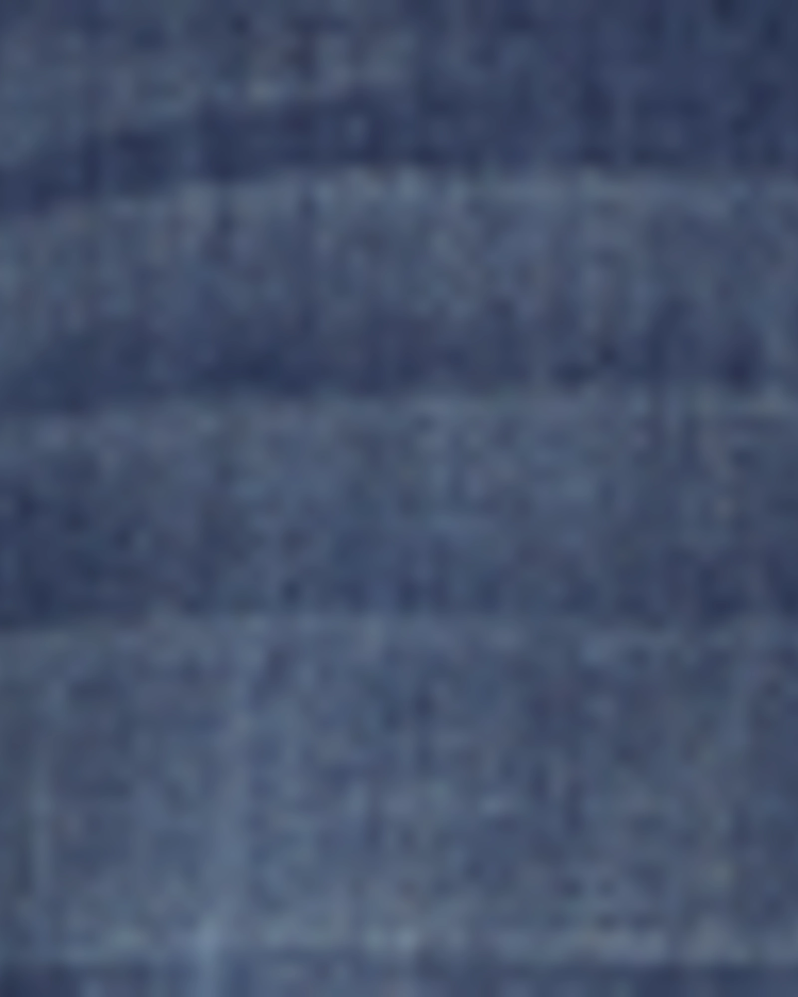 Chic Design Look Smart Wardrobe Chamberlain Distressed Skinny Jean | Medium Wash