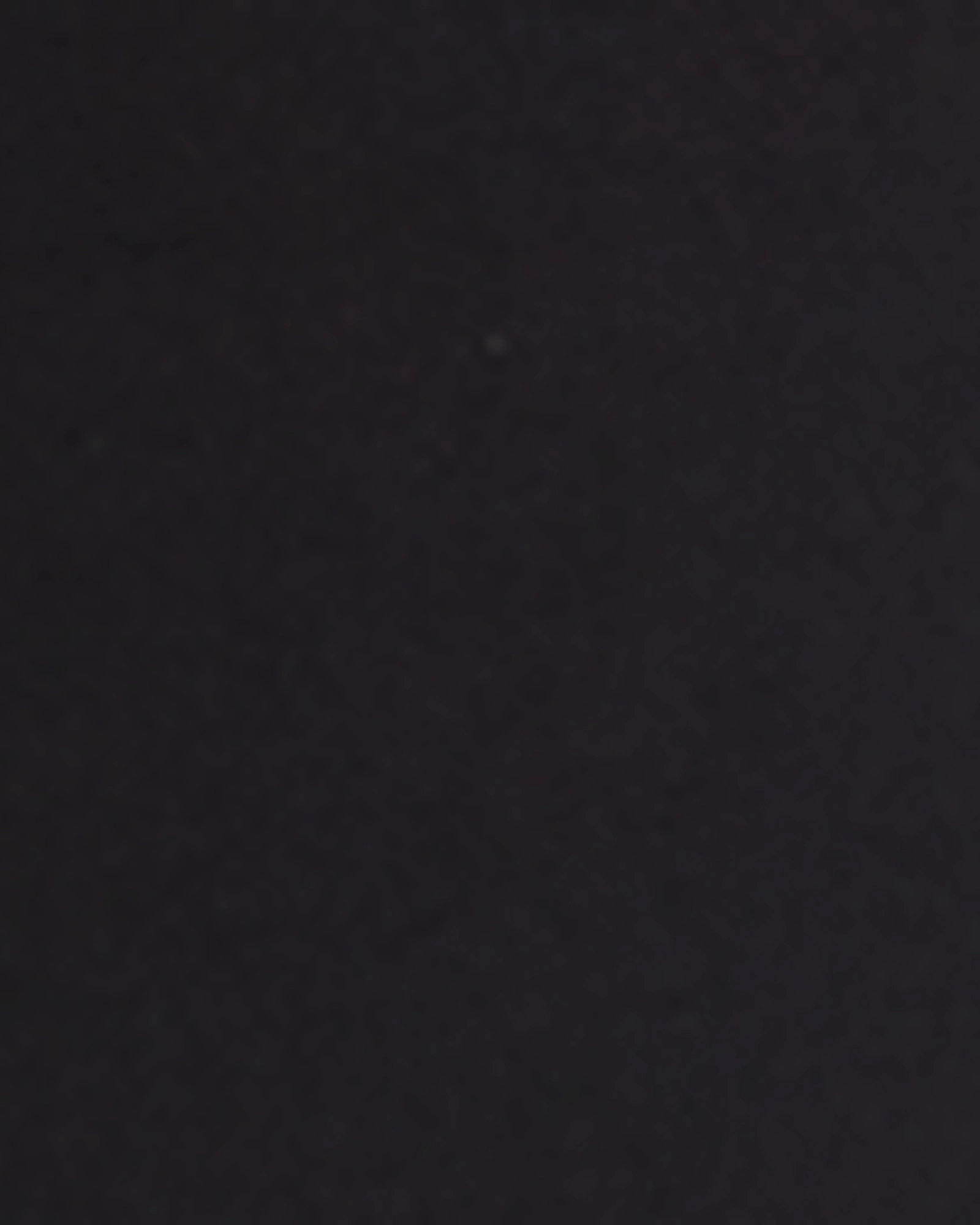 Everyday Vibrant Charles High-Rise Ankle Jean | Black