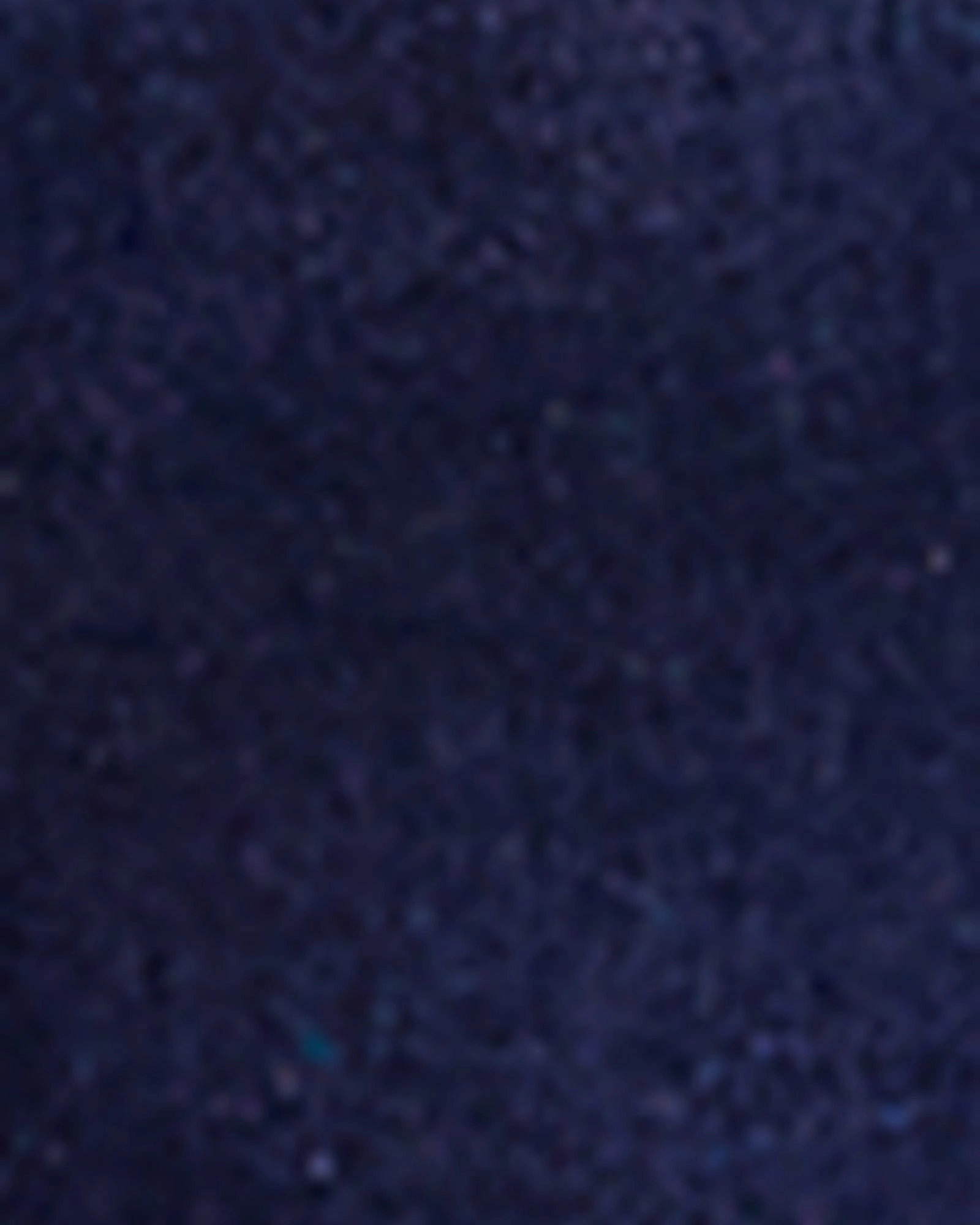 Carmen Distressed Short | Dark Wash Trend Friendly