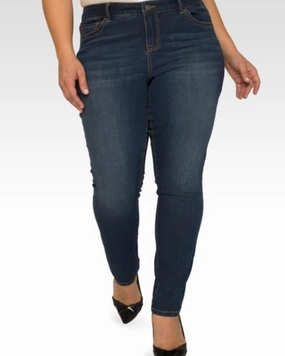 Premium Fit Daily Driven Elizabeth 5-Pocket Style Skinny Jean | 1144 Hidden Desert