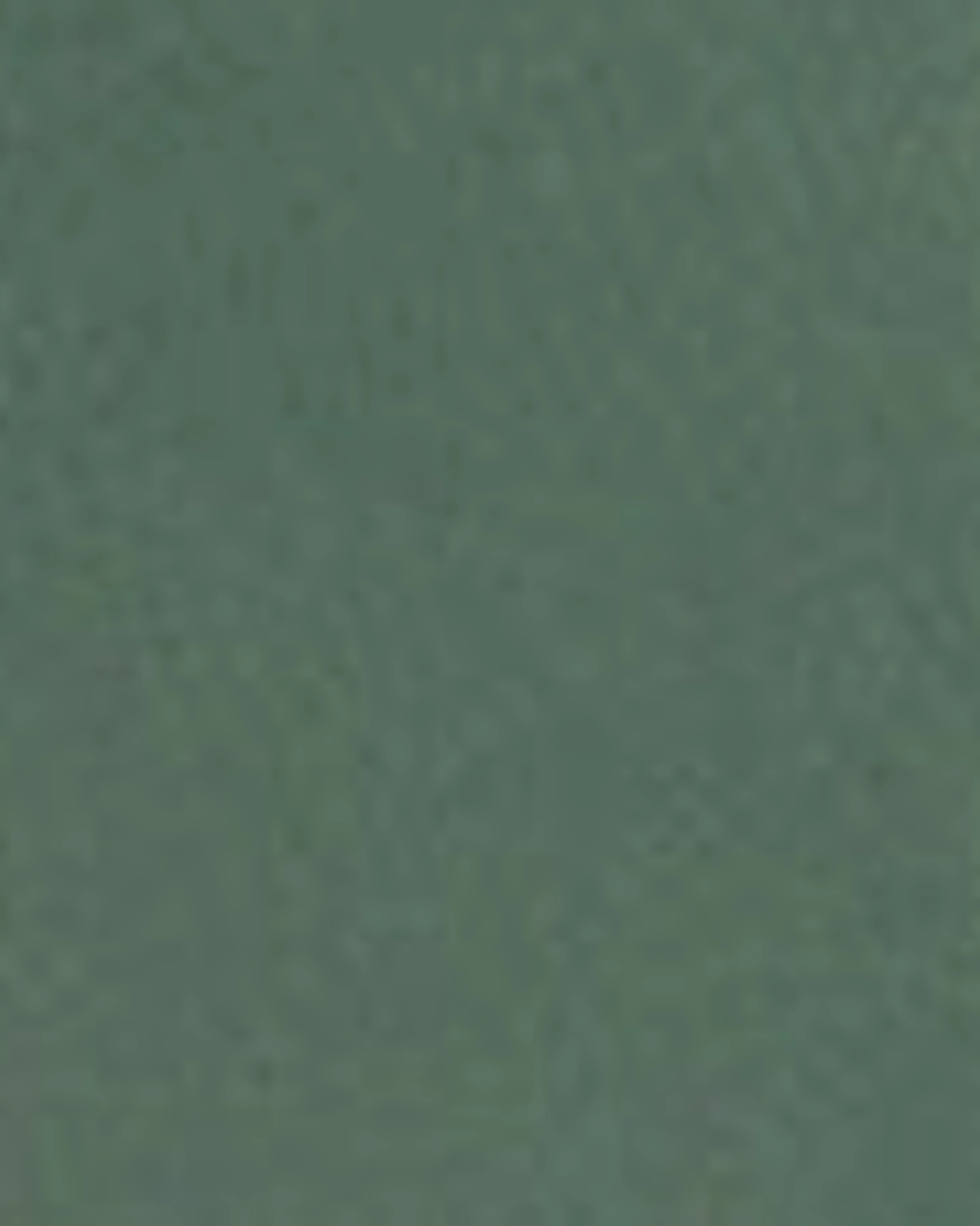 Date Night Casual Friday Basic Comfort Haley Mid rise Bermuda | MYRTLE