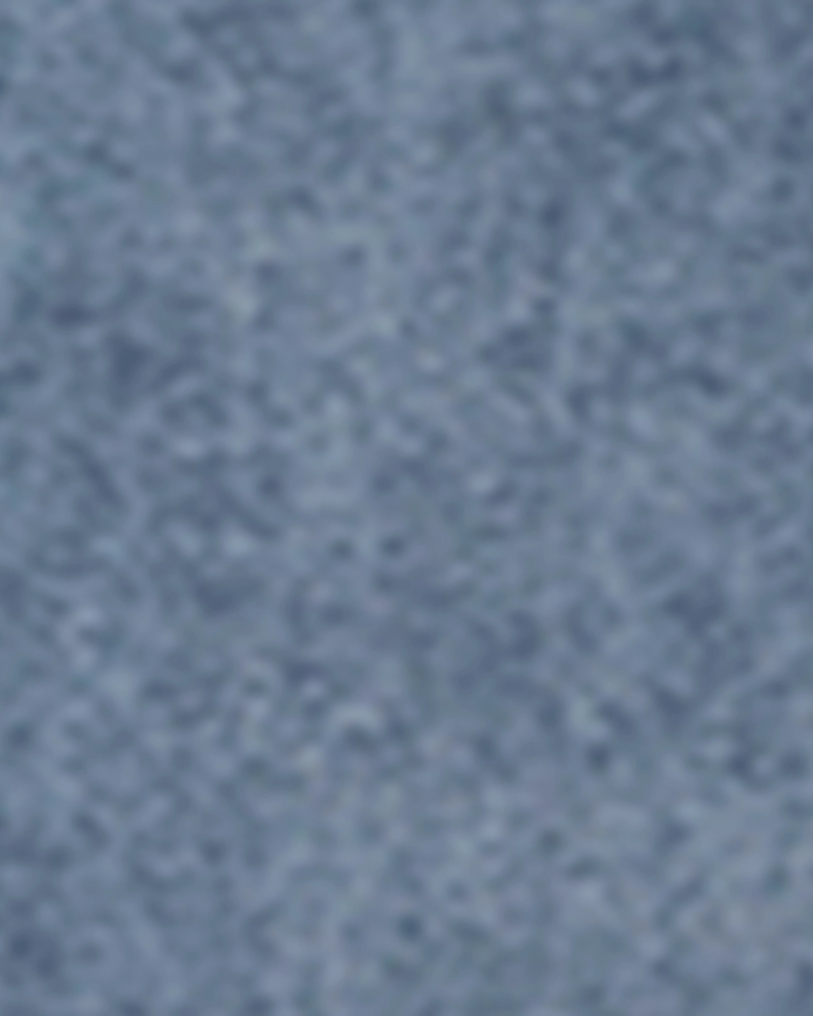 Jackie High Waisted Denim Jogger | Light Wash Neat And Easy