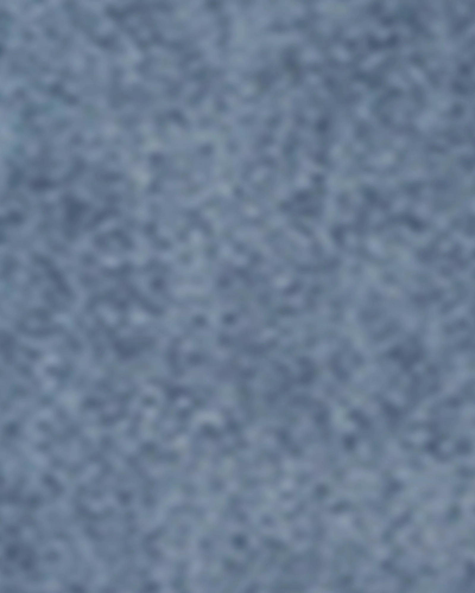 Rainy Day High Quality Jackie High Waisted Denim Jogger | Light Wash