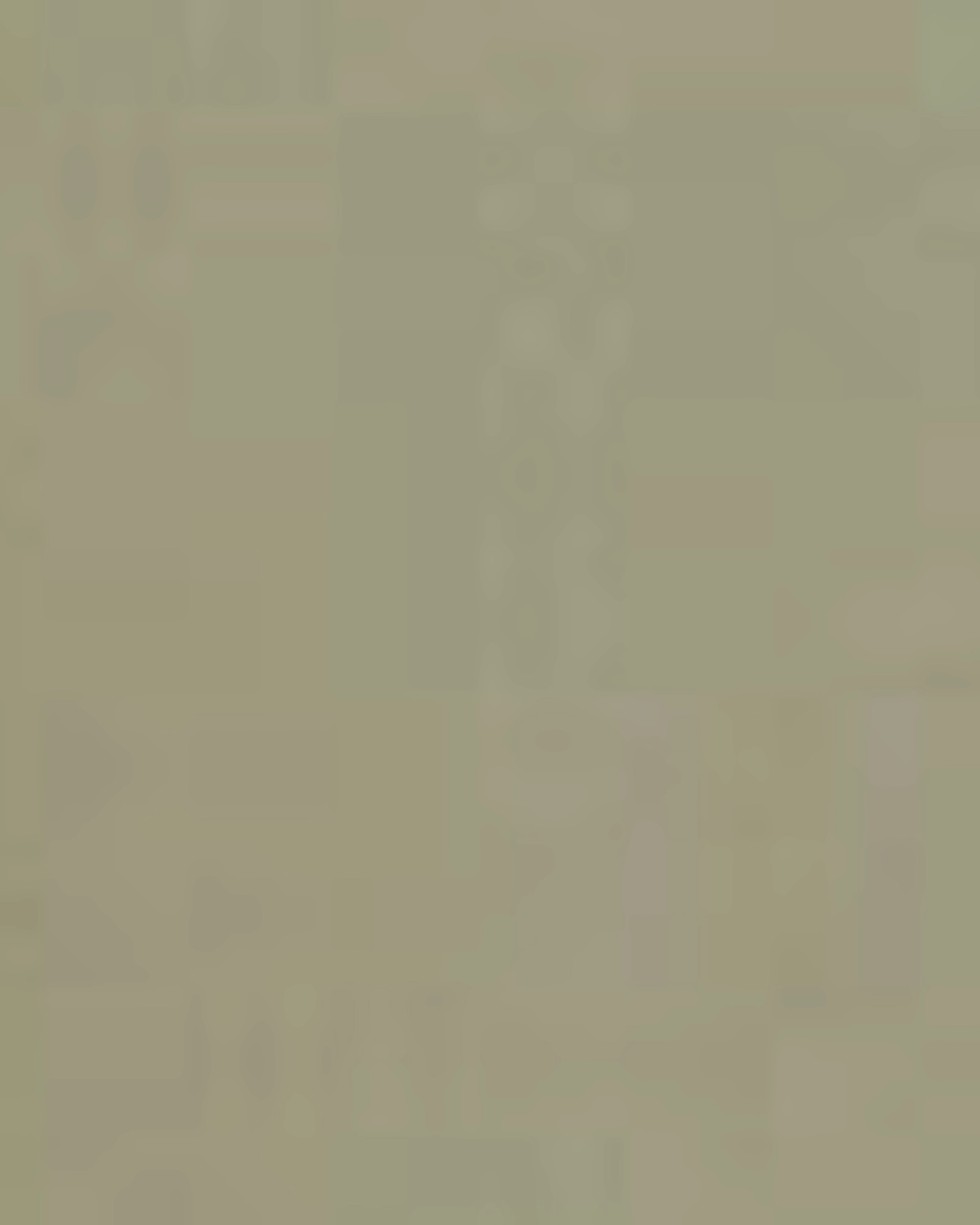 Bahama Pant | Olive Green / Olive Green Neutral Choice Timeless Design