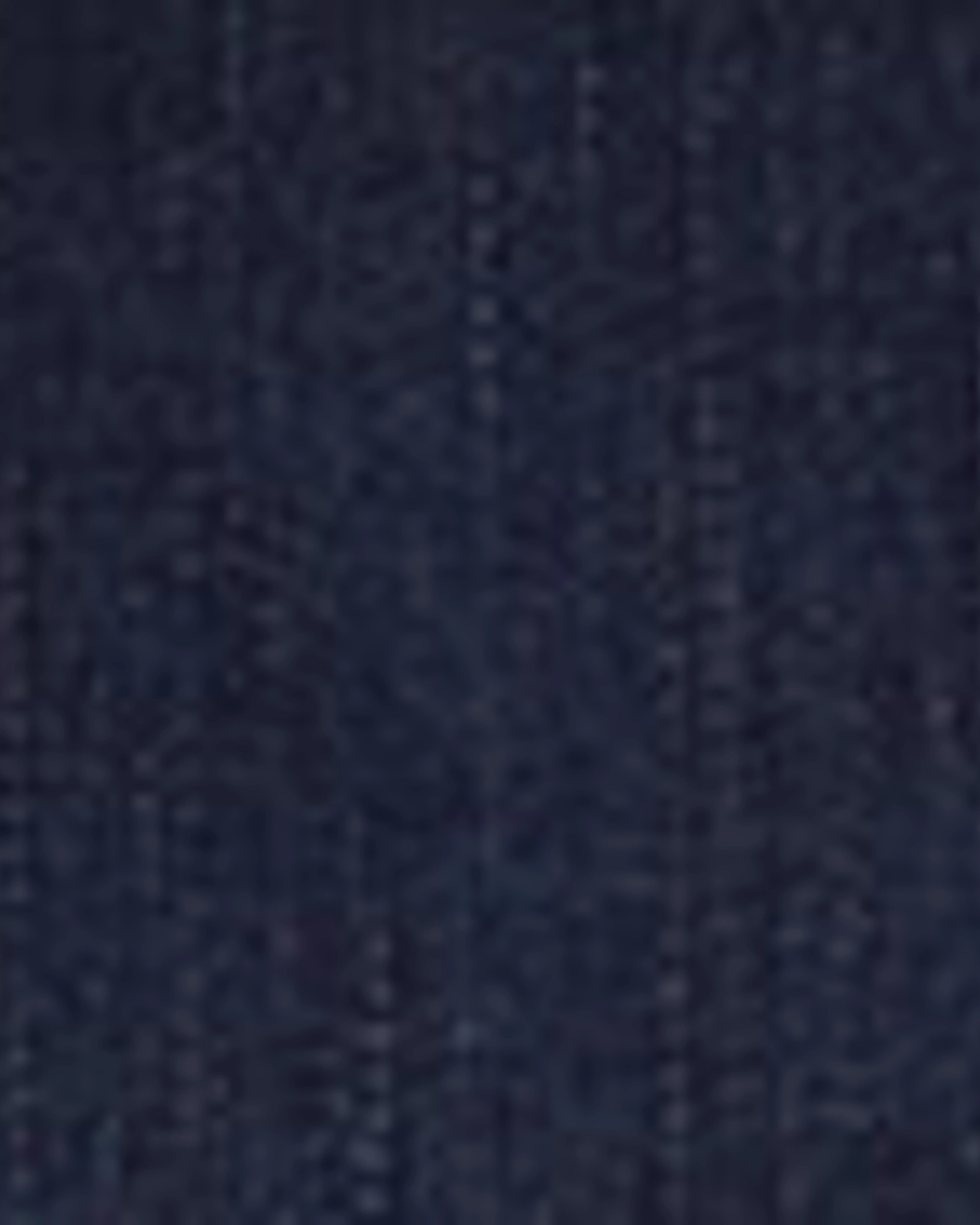 Fresh casual Winter Warmth Durable Marie Bermuda Shorts | Dark Wash / Dark Wash