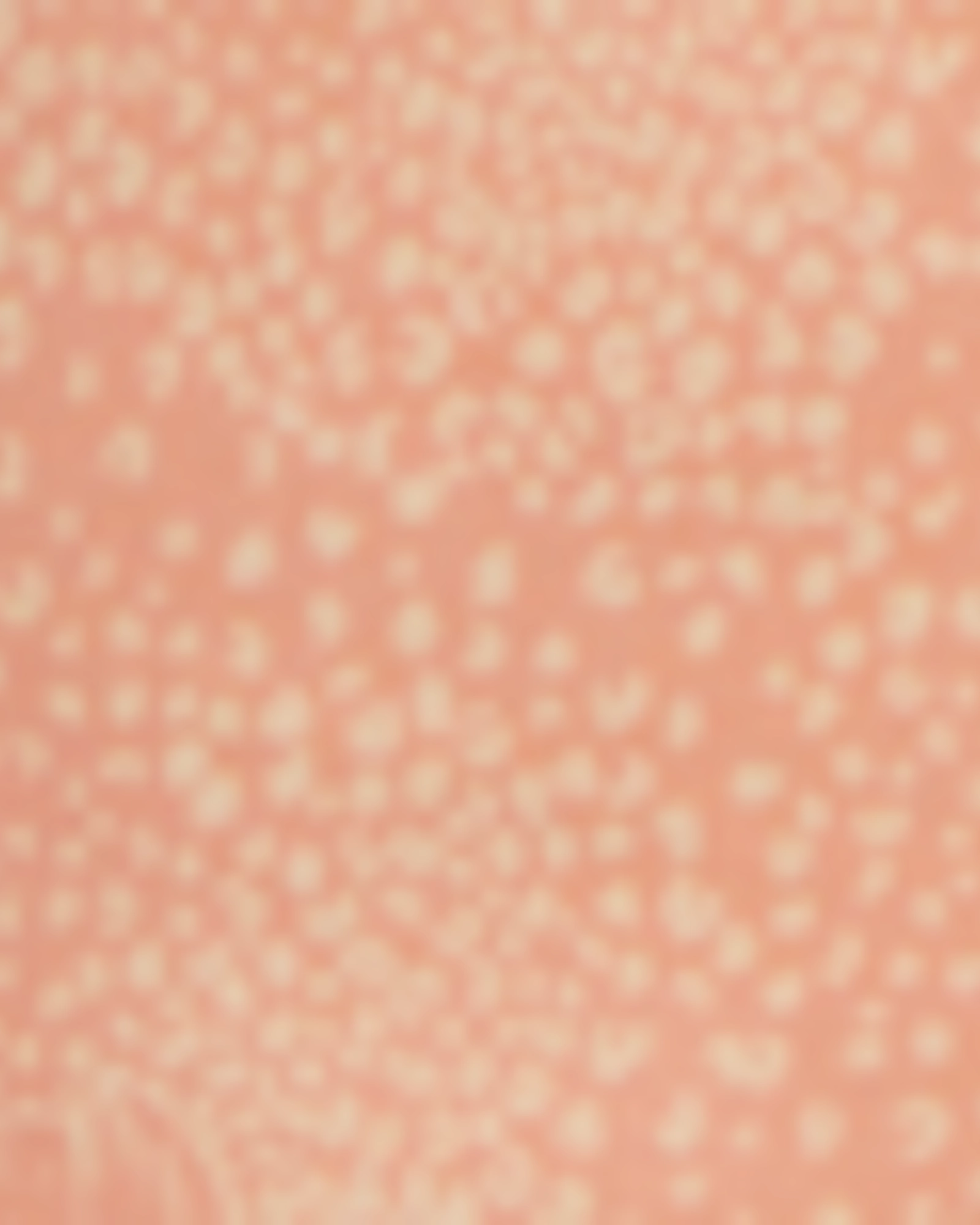 Easy Fashion Marilyn Straight Ankle | Mirage Leopard