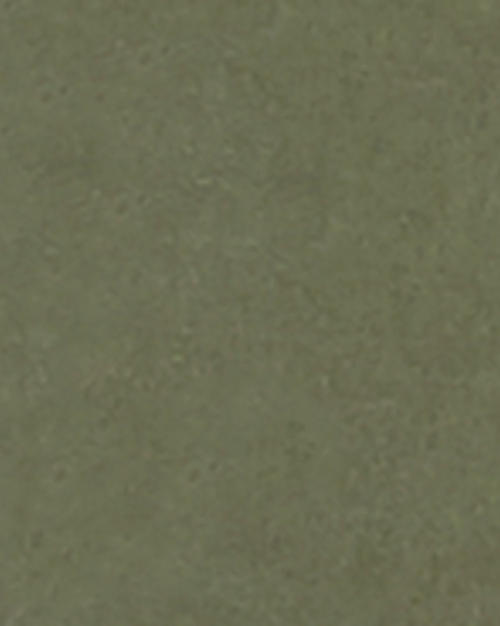 Customizable length Tara Pant | Olive Green