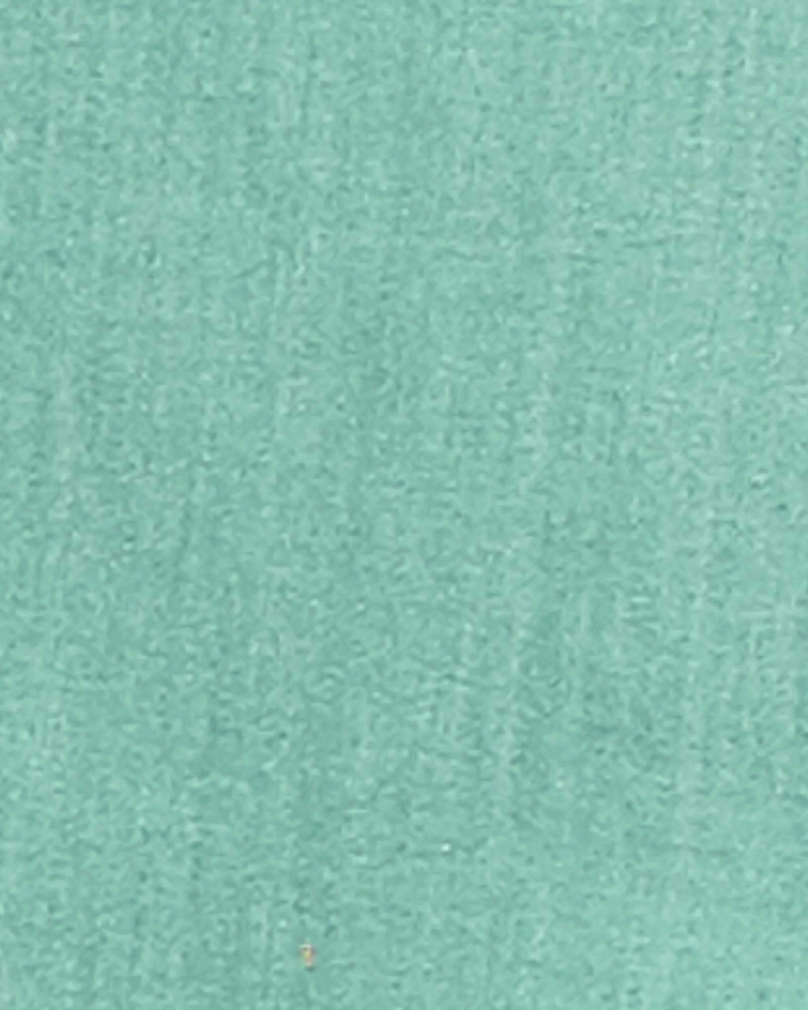 Trendy Wear Gatling Colored Cropped Jean | Mint