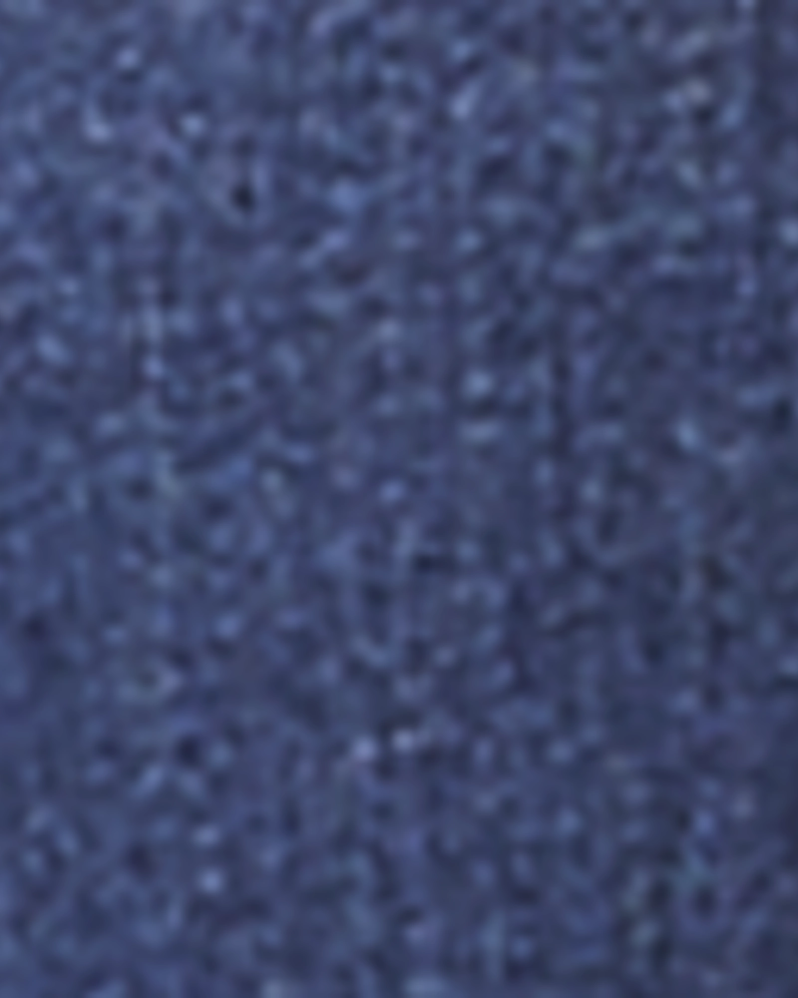 Chrissy High-Waisted Ankle Jeans | Light Wash Modern Winter Warmth Loose Suitable Fit