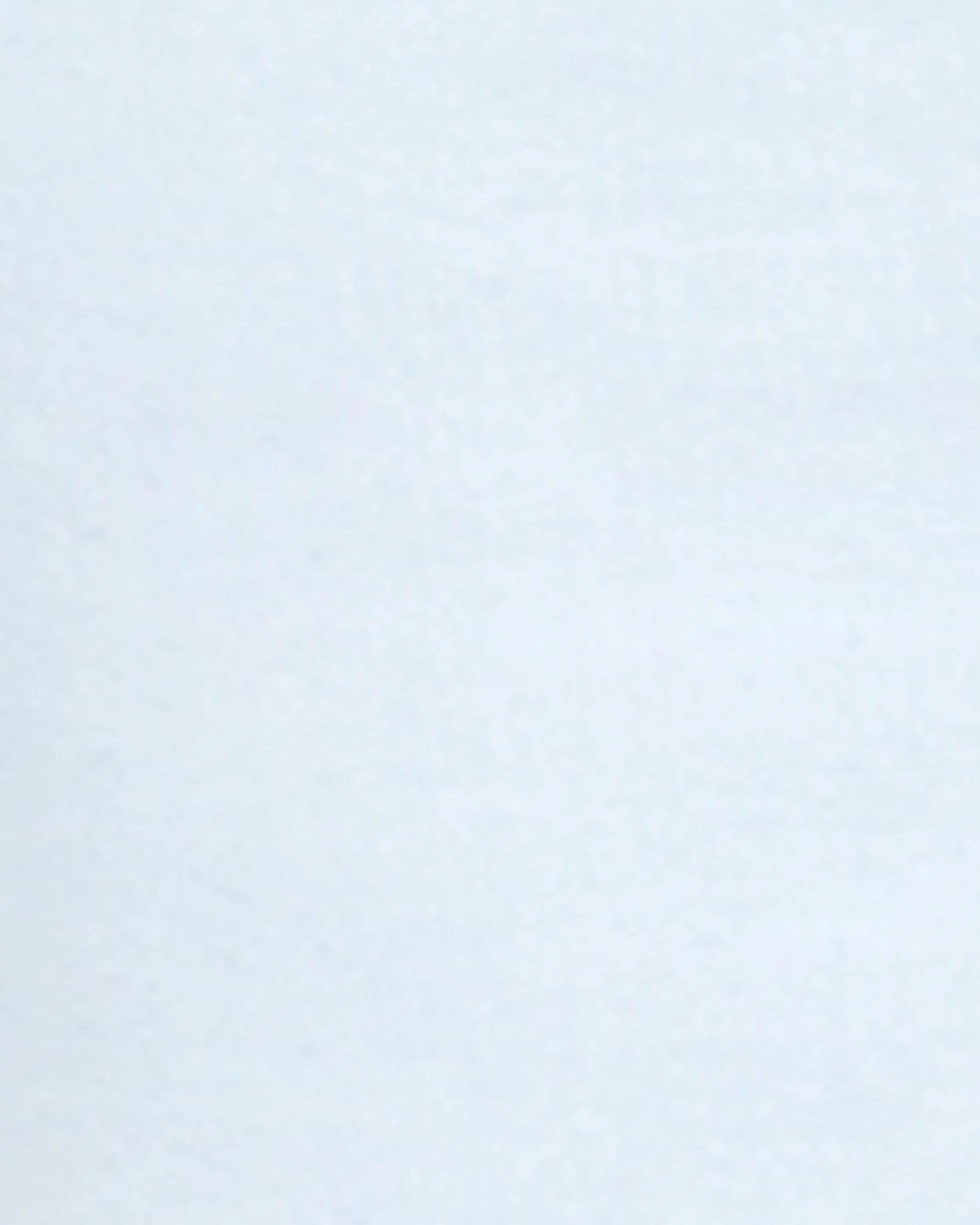 Chill Vibe Paola Light Wash Ripped Bermuda Short | Light Wash