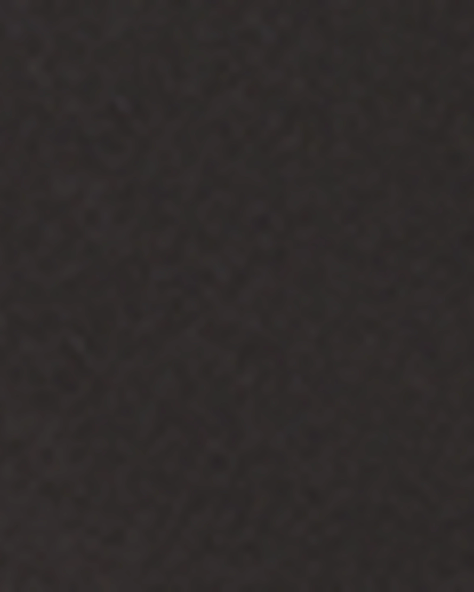 Style Element Daily Musthave Jane High-Rise Fray-Hem Denim Shorts | Black