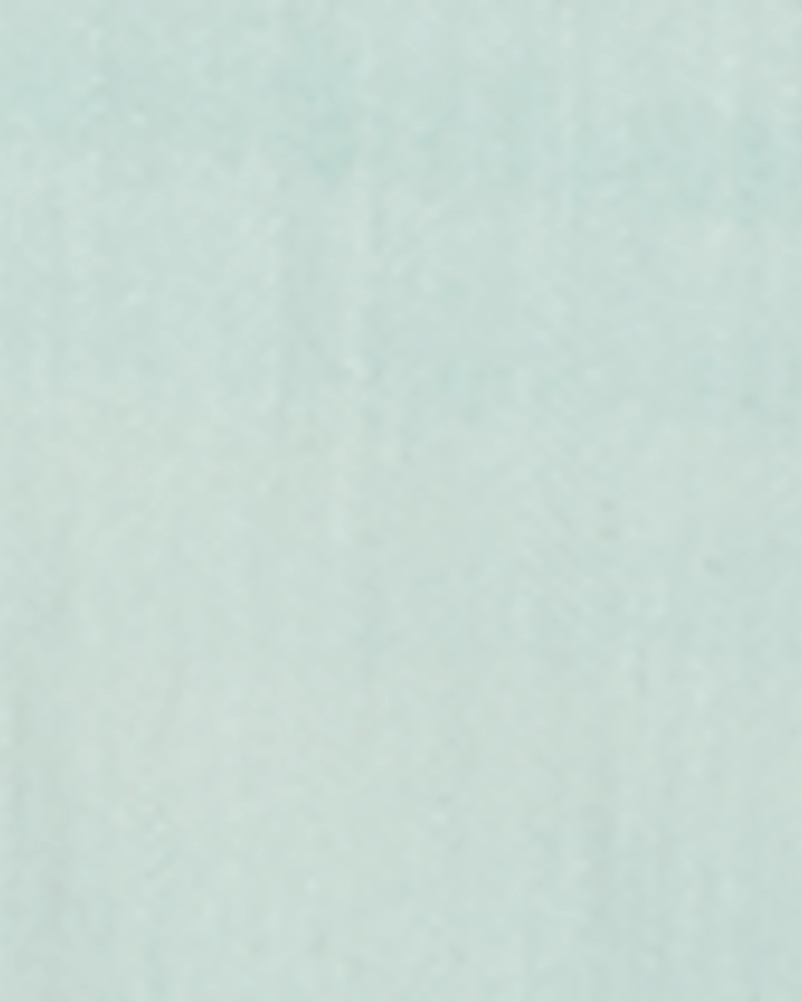 Neutral Look Casual Elegance Naomi Rolled Color Skinny Jean | Turquoise