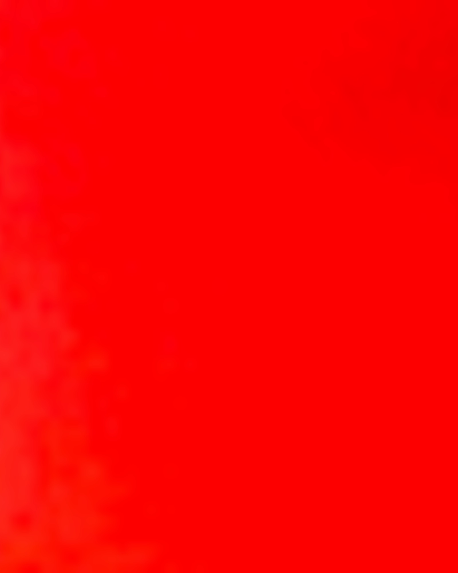 Baylee Side Vent Shorts | ROSE RED Solid Choice