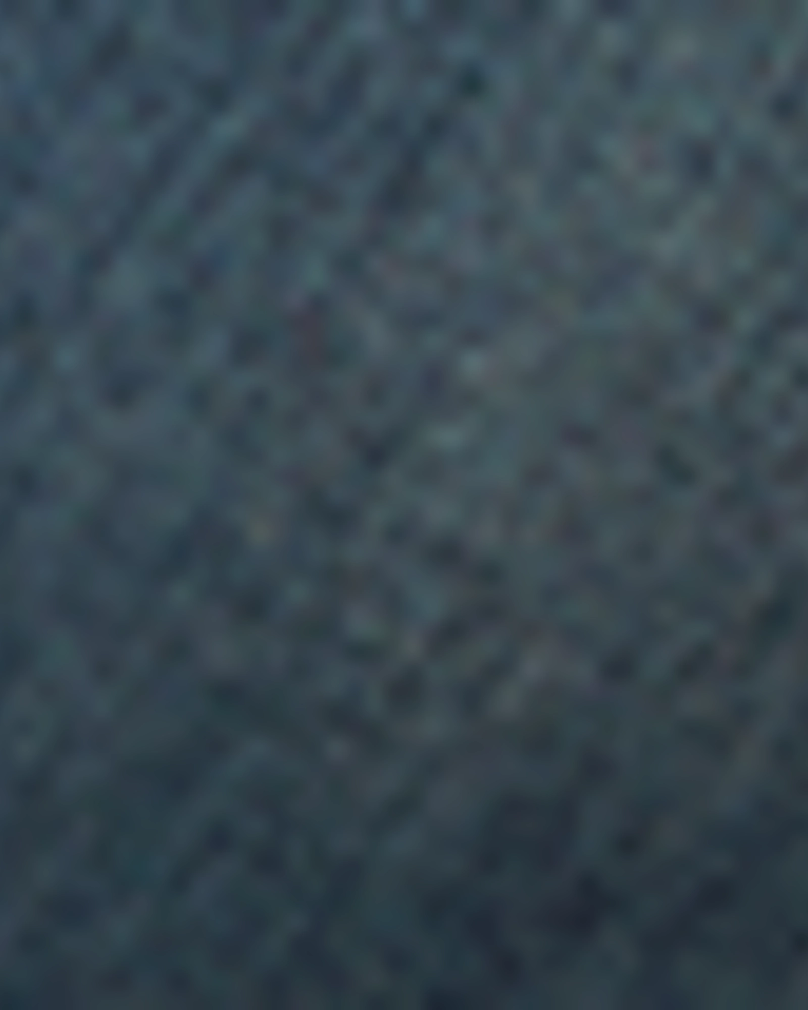 Premium Fit Maybelle Cropped Skinny Jeans | Adelaide