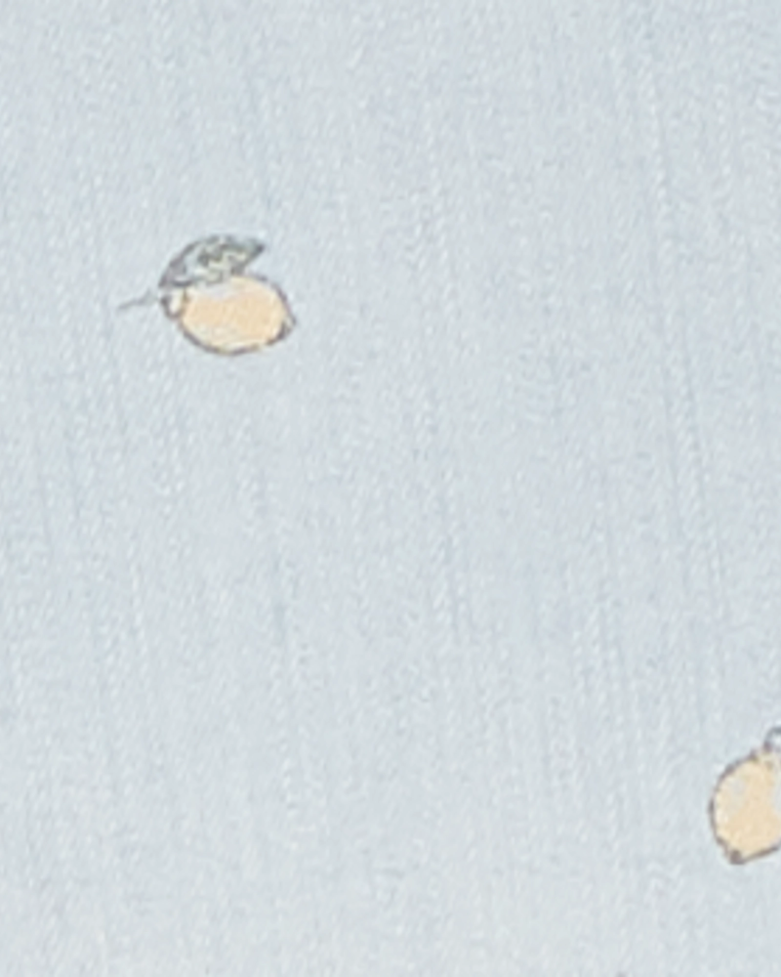 Balanced Wardrobe Roni Ankle Skinny Jean | Light Wash