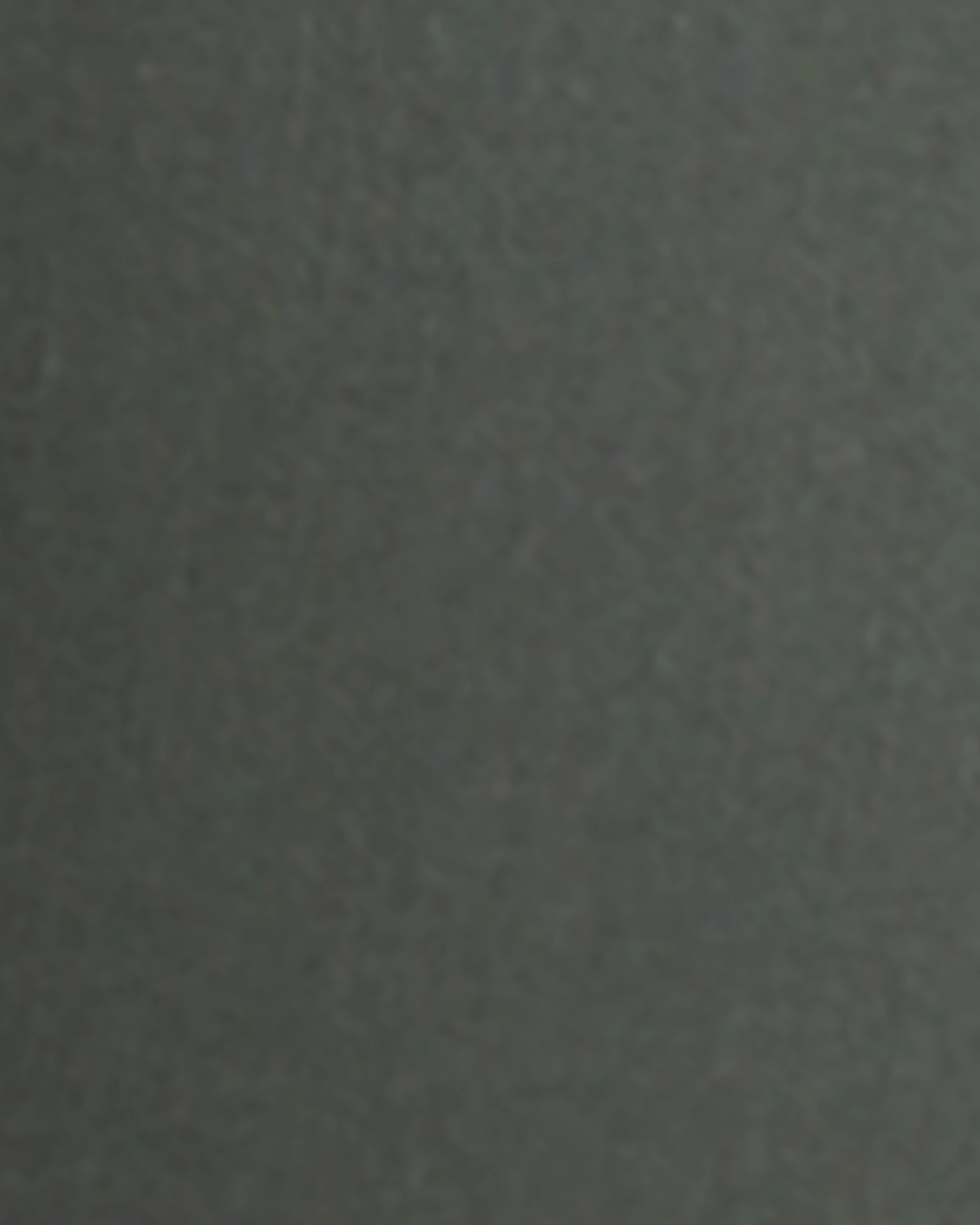 Relaxed Basics Roni Skinny Jean  | Olive Green