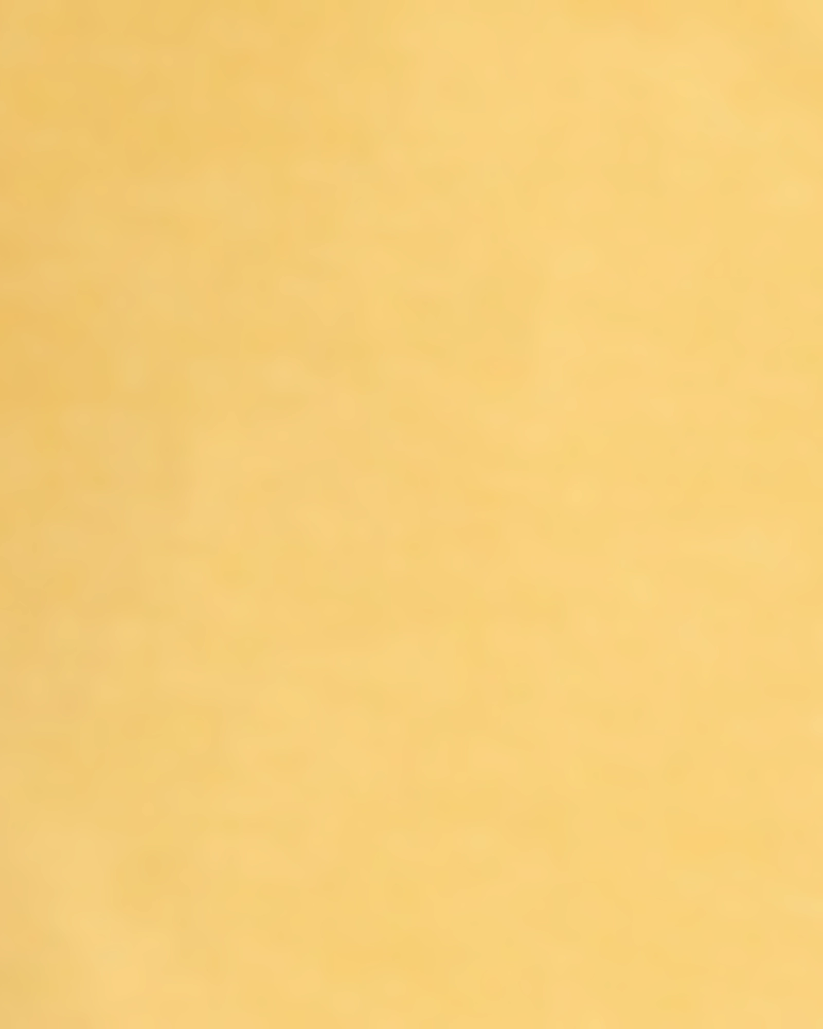 Weekend Warrior Festival Outfit Smooth Roxanne Short | Mango Sorbet