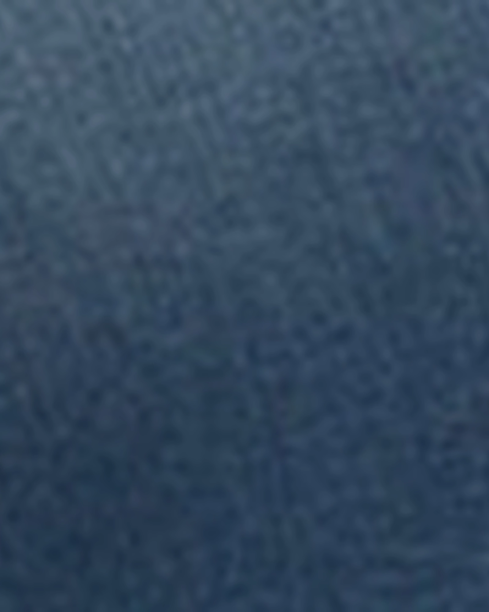 Modern Attire Affordable Neutral Holiday Vibes Stella Mid Rise Shorts | CRYSTAL