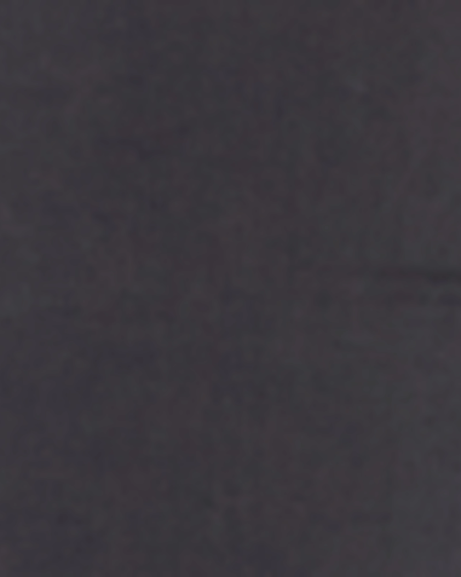 Marilyn Stretch Straight Leg Pant | Trinity Easy Fashion School Fit