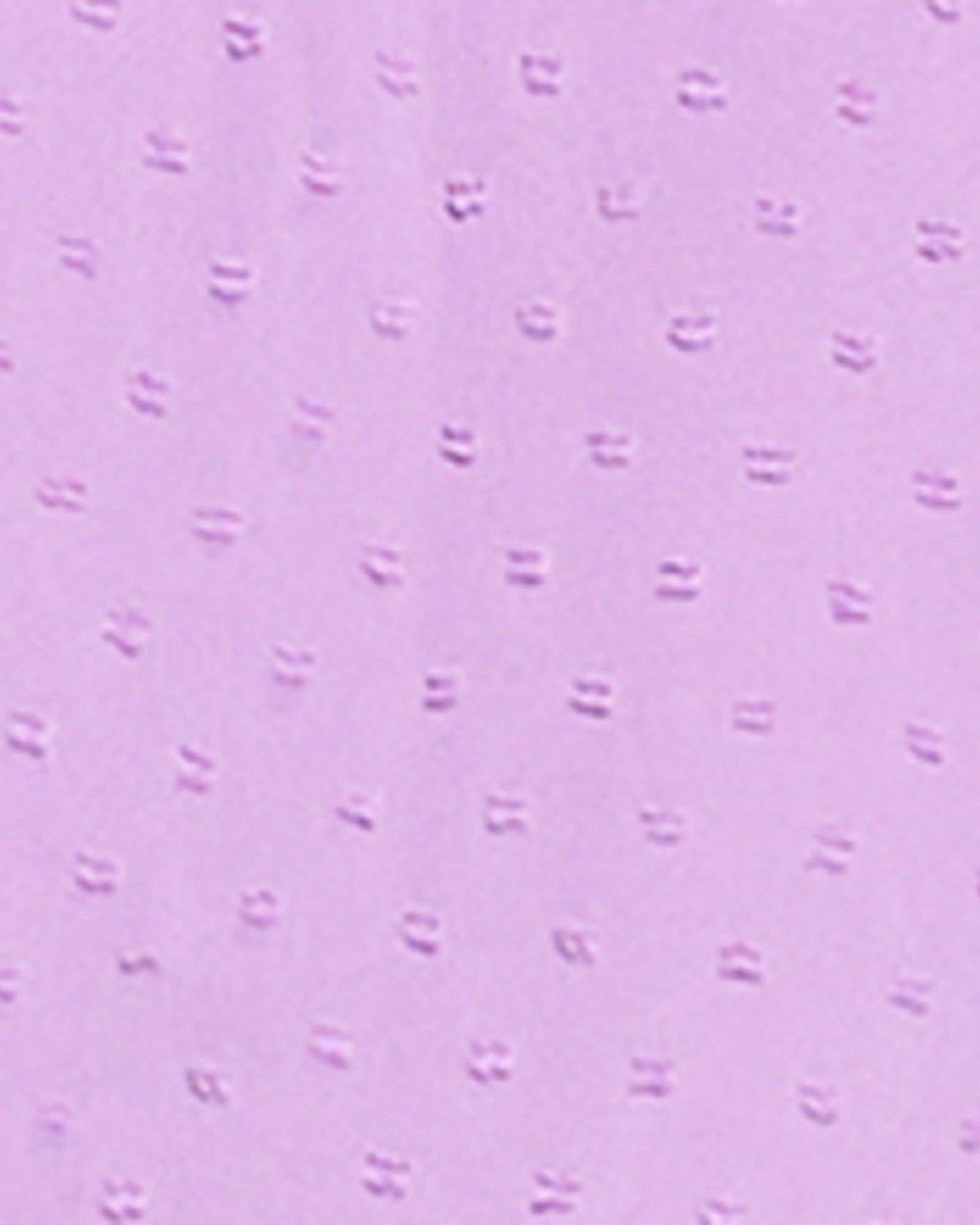 Veronica Jean | Dark Wash Earthy Rainy Day City Walk Shopping Day Slim